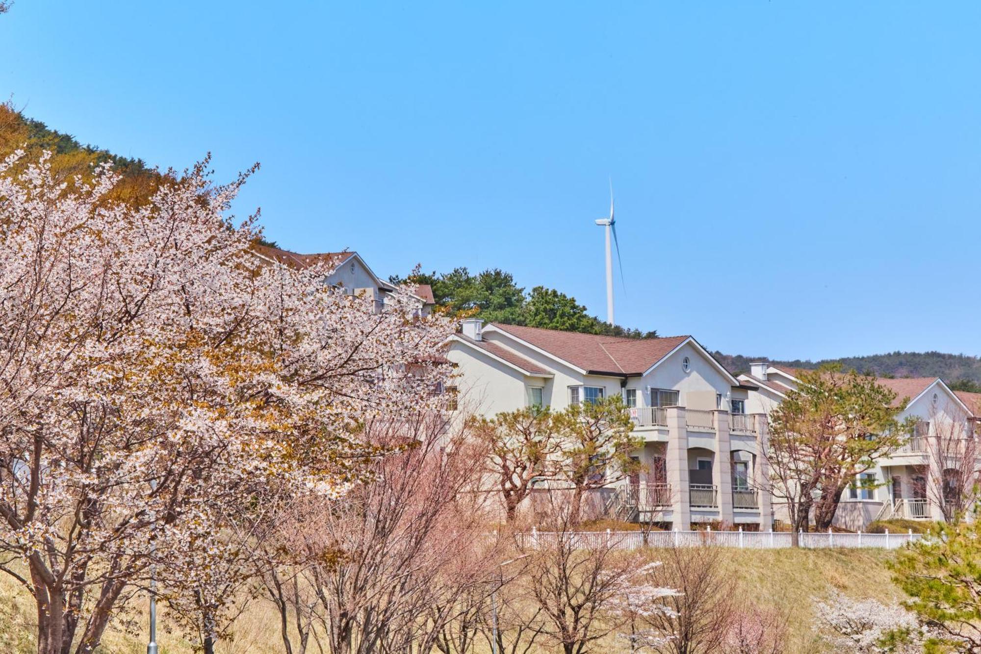 Gyeongju Mauna Ocean Resort Екстер'єр фото
