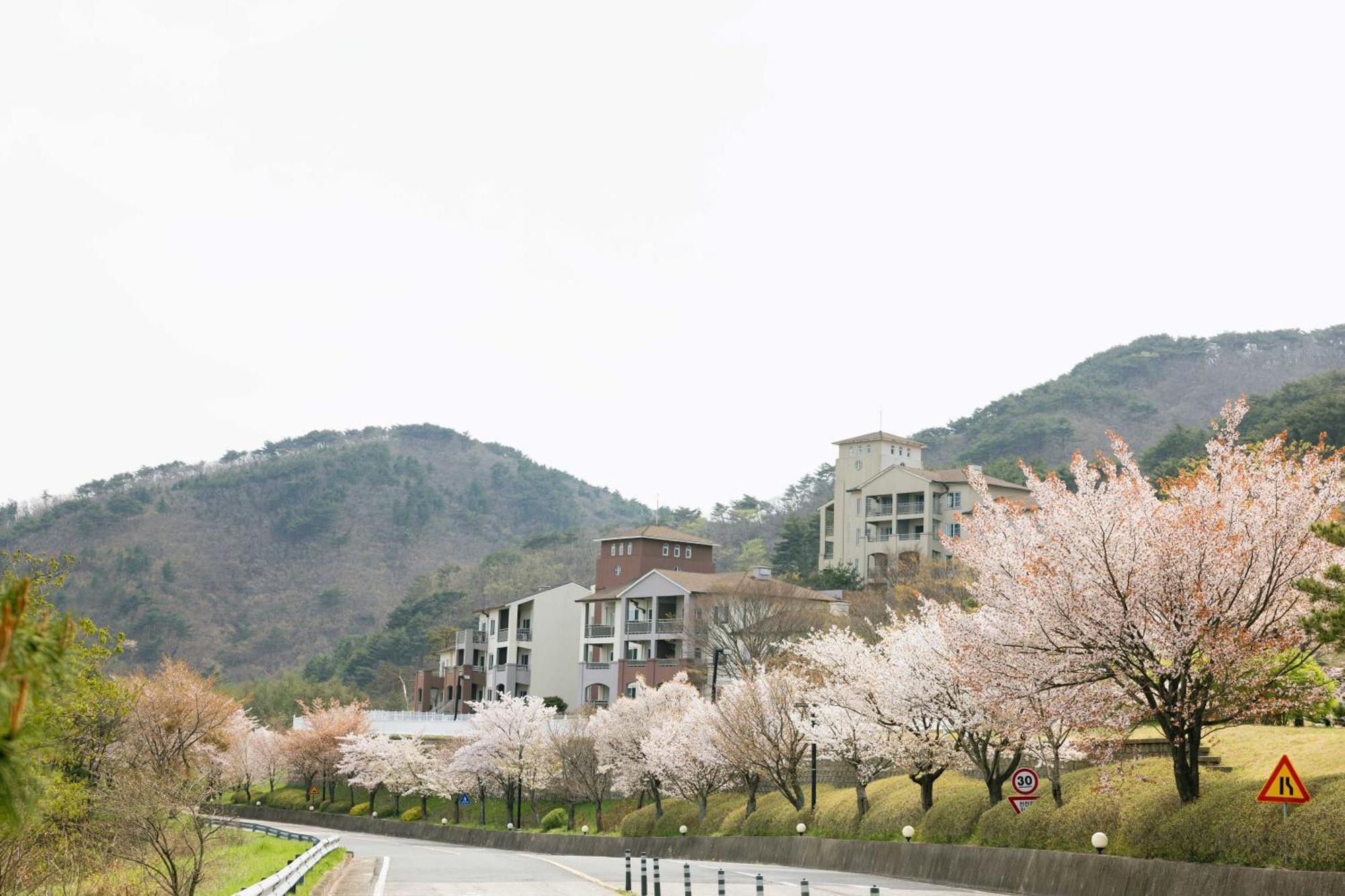Gyeongju Mauna Ocean Resort Екстер'єр фото