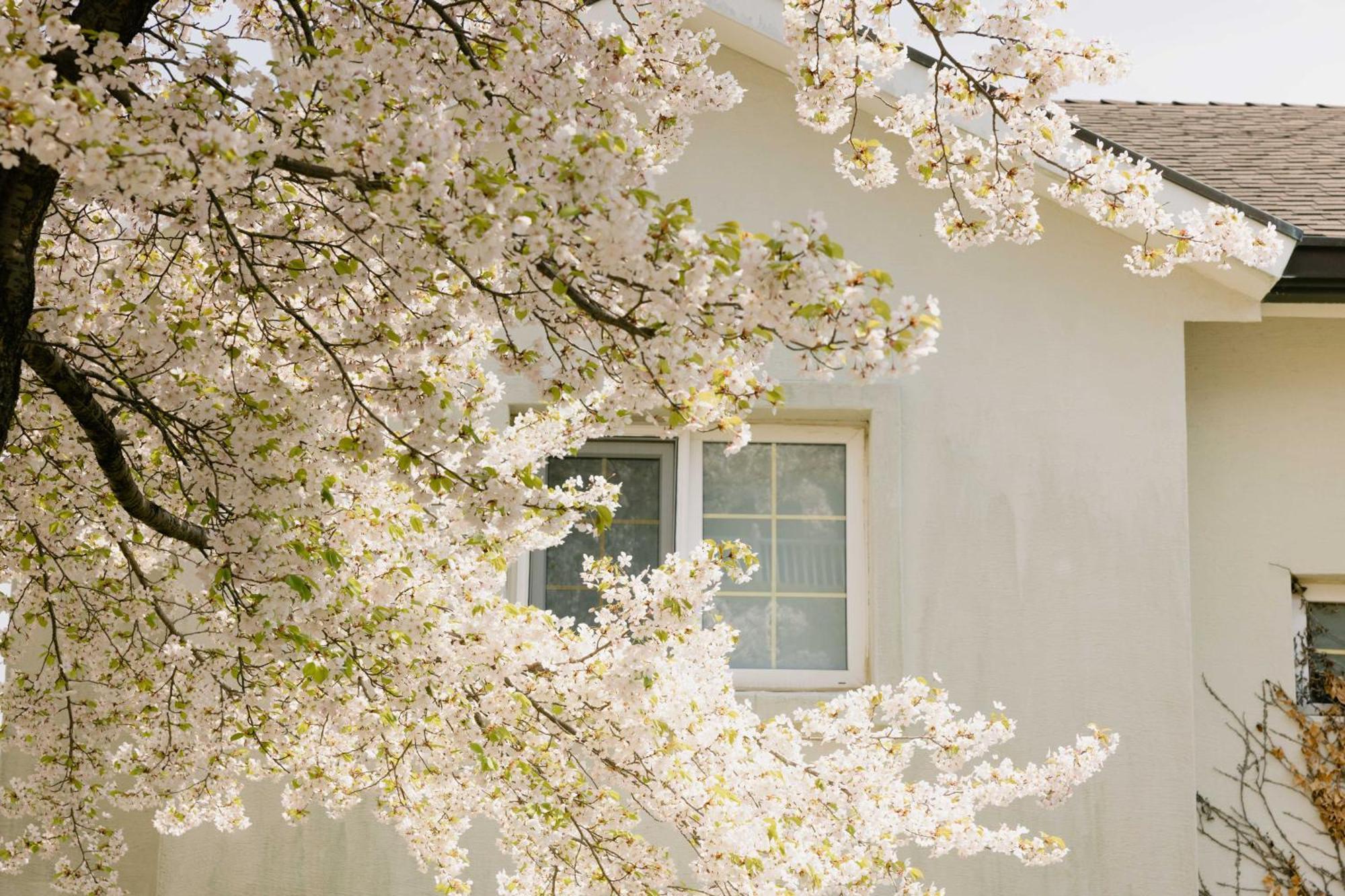 Gyeongju Mauna Ocean Resort Екстер'єр фото