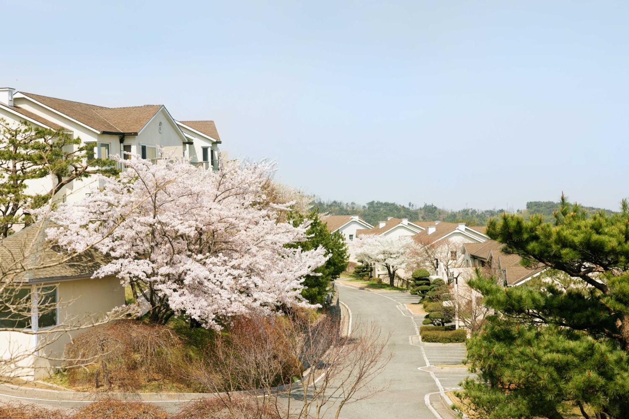 Gyeongju Mauna Ocean Resort Екстер'єр фото