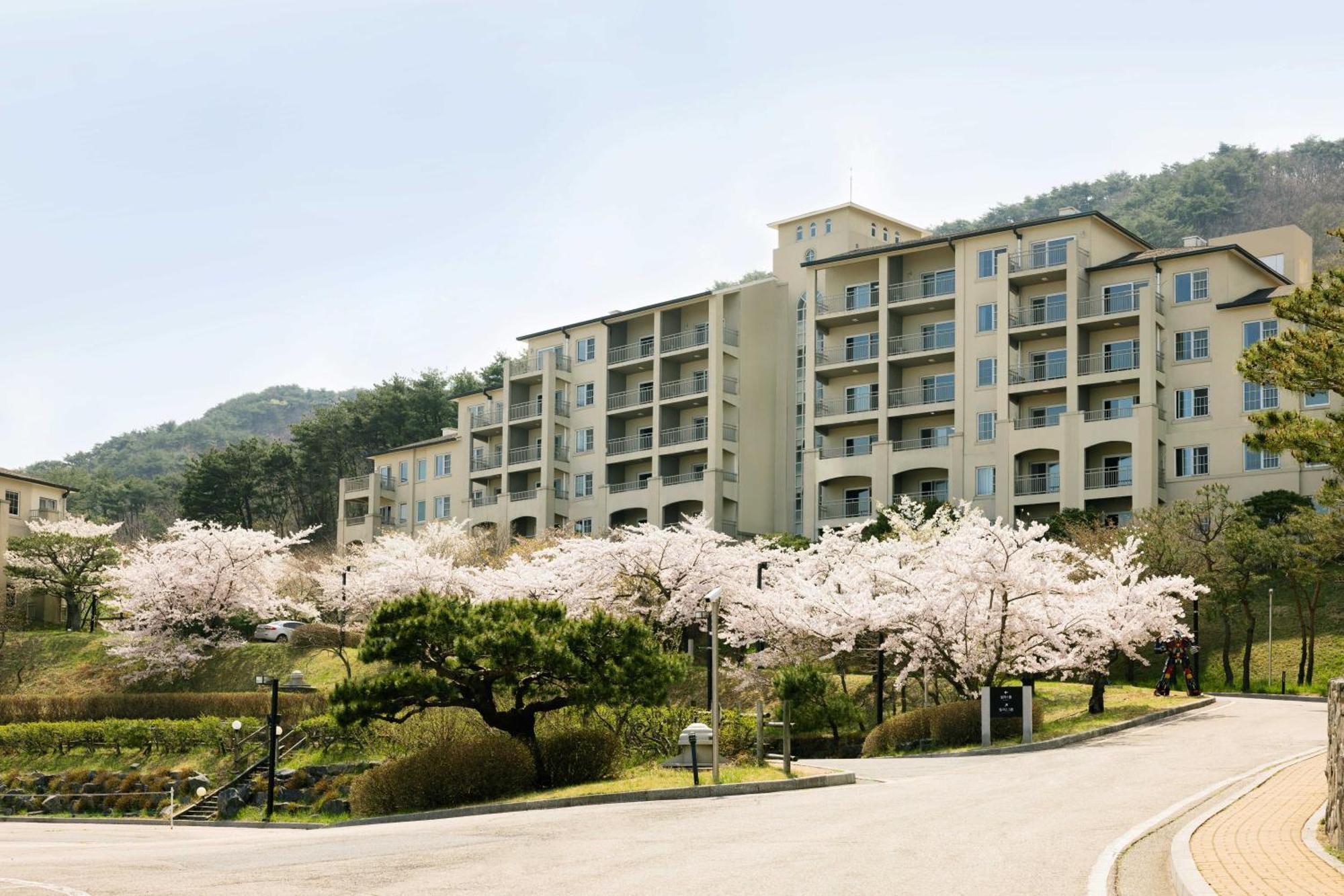 Gyeongju Mauna Ocean Resort Екстер'єр фото