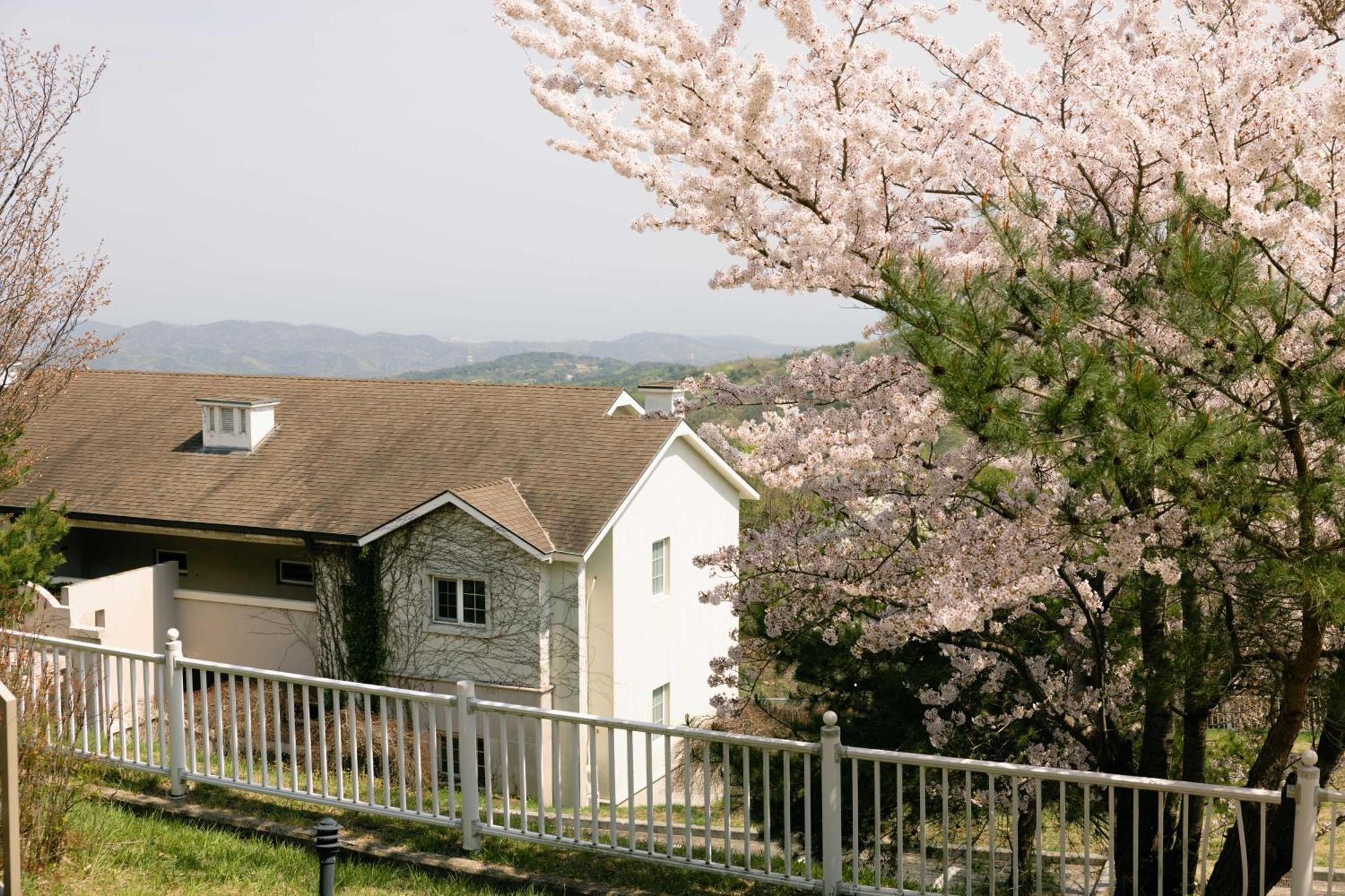Gyeongju Mauna Ocean Resort Екстер'єр фото