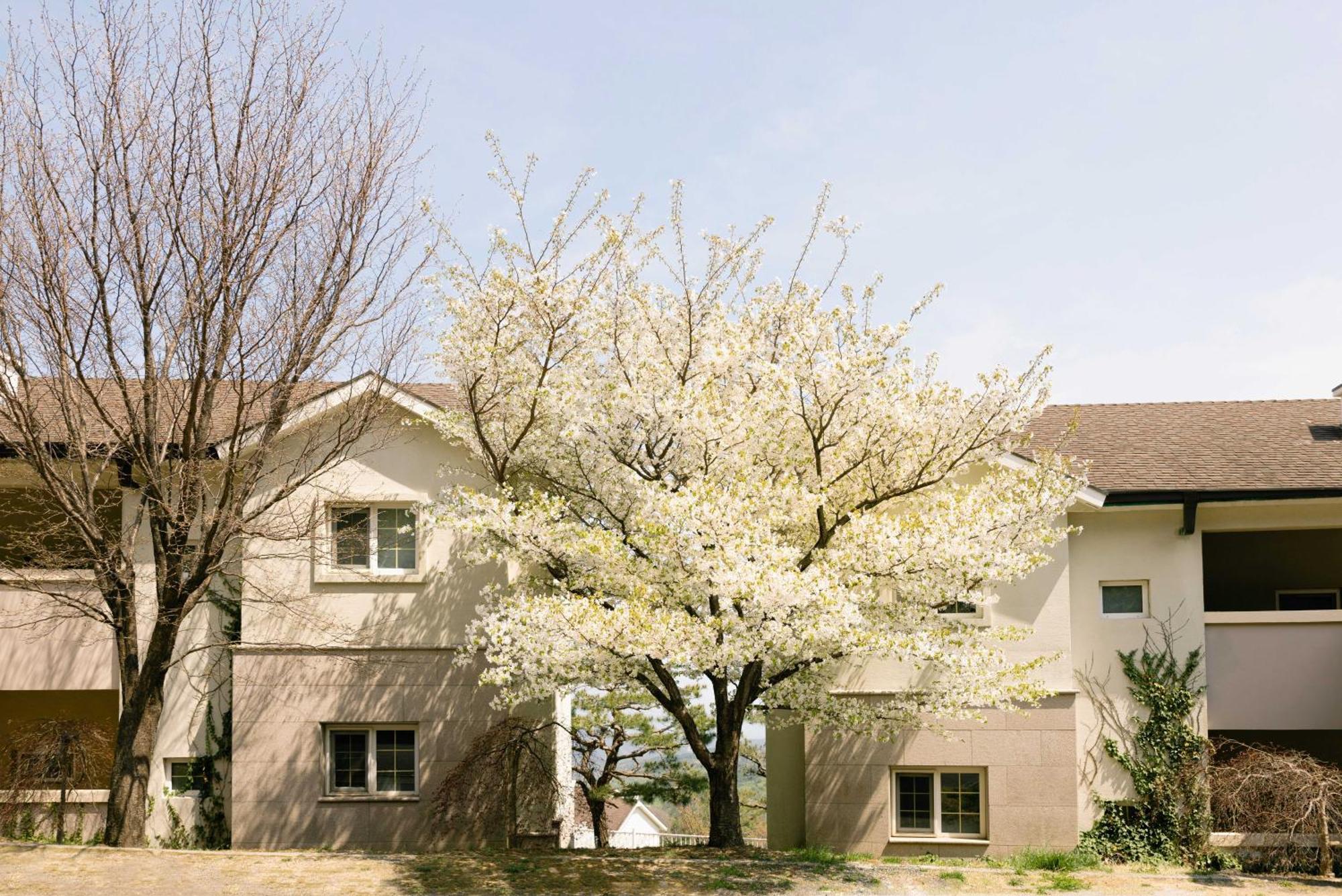 Gyeongju Mauna Ocean Resort Екстер'єр фото